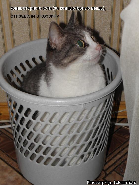 компьютерного кота (за компьютерную мышь), отправили в корзину!... Котоматрица: компьютерного кота (за компьютерную мышь), отправили в корзину!