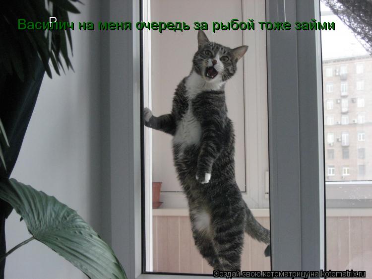 Р... Котоматрица: Р