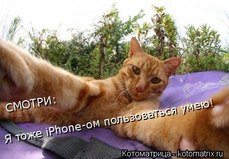 Я тоже iPhonе-ом пользоваться умею! СМОТРИ:... Котоматрица: Я тоже iPhonе-ом пользоваться умею! СМОТРИ: