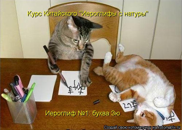 Курс Китайского "Иероглифы с натуры" Иероглиф №1: буква Зю... Котоматрица: Курс Китайского "Иероглифы с натуры" Иероглиф №1: буква Зю