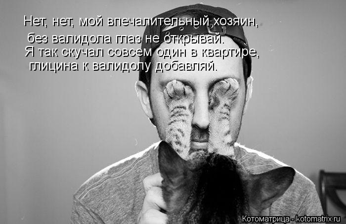 Нет, нет, мой впечалительный хозяин, без валидола глаз не открывай. Я так скучал совсем один в кварти... Котоматрица: Нет, нет, мой впечалительный хозяин, без валидола глаз не открывай. Я так скучал совсем один в квартире, глицина к валидолу добавляй.