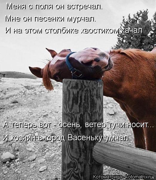 Мне он песенки мурчал. И на этом столбике хвостиком качал А теперь вот - осень, ветер тучи носит... И... Котоматрица: Мне он песенки мурчал. И на этом столбике хвостиком качал А теперь вот - осень, ветер тучи носит... И хозяин в город Васеньку умчал. Меня с поля