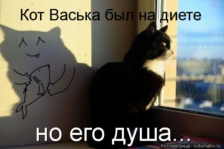 Кот Васька был на диете но его душа...... Котоматрица: Кот Васька был на диете но его душа...