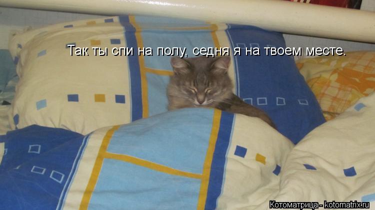 Котоматрица: Так ты спи на полу, седня я на твоем месте.