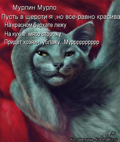 Котоматрица: Мурлин Мурло. Пусть в шерсти я ,но все-равно красива На красном бархате лежу На кухне  мясо сторожу Придет хозяин, ублажу...Мурррррррррр