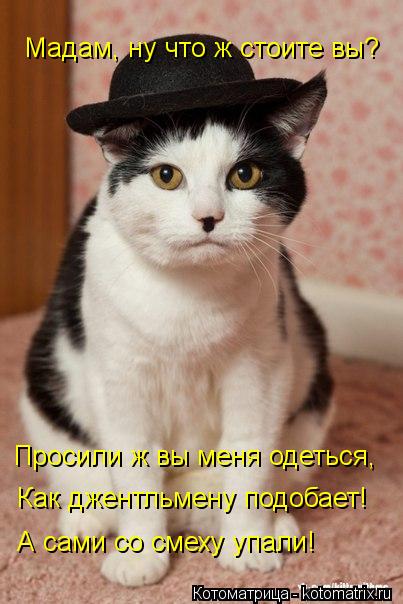 Котоматрица: Мадам, ну что ж стоите вы? Просили ж вы меня одеться,  Как джентльмену подобает! А сами со смеху упали!