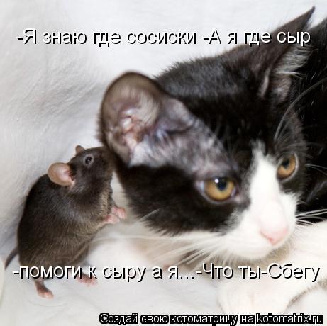 -Я знаю где сосиски -А я где сыр -помоги к сыру а я...-Что ты-Сбегу... Котоматрица: -Я знаю где сосиски -А я где сыр -помоги к сыру а я...-Что ты-Сбегу