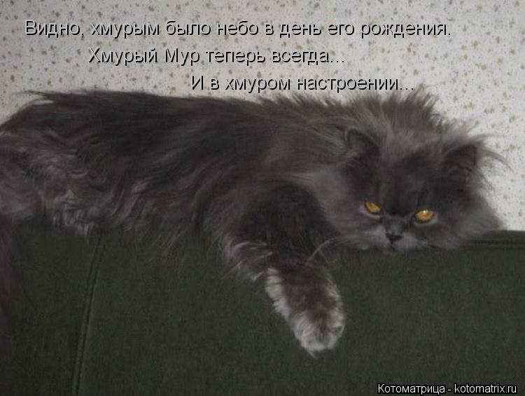 Видно, хмурым было небо в день его рождения. Хмурый Мур теперь всегда... И в хмуром настроении...... Котоматрица: Видно, хмурым было небо в день его рождения. Хмурый Мур теперь всегда... И в хмуром настроении...
