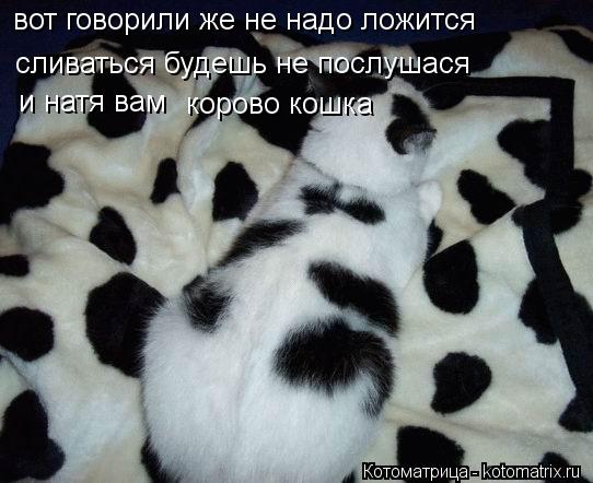 Котоматрица: вот говорили же не надо ложится сливаться будешь не послушася и натя вам корово кошка
