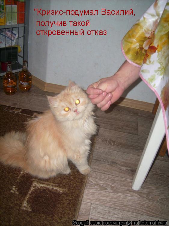 Котоматрица: "Кризис-подумал Василий,  получив такой откровенный отказ