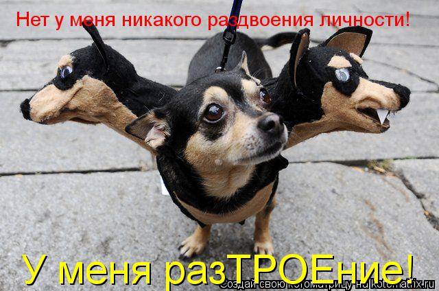 Нет у меня никакого раздвоения личности! У меня разТРОЕние!... Котоматрица: Нет у меня никакого раздвоения личности! У меня разТРОЕние!