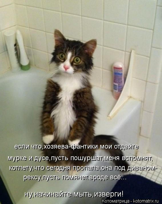 рексу,пусть помянет.вроде всё... котлету,что сегодня пропала,она под диваном- мурке и дусе,пусть пошу... Котоматрица: рексу,пусть помянет.вроде всё... котлету,что сегодня пропала,она под диваном- мурке и дусе,пусть пошуршат,меня вспомнят, если что,хозяева-фан