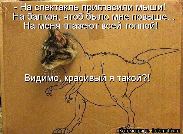 - На спектакль пригласили мыши! На балкон, чтоб было мне повыше... На меня глазеют всей толпой! Видим... Котоматрица: - На спектакль пригласили мыши! На балкон, чтоб было мне повыше... На меня глазеют всей толпой! Видимо, красивый я такой?!