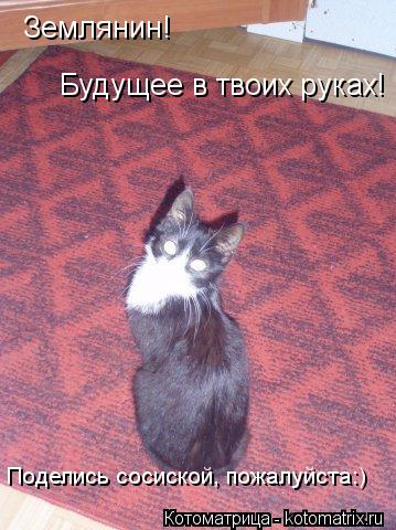 Землянин! Будущее в твоих руках! Поделись сосиской, пожалуйста:)... Котоматрица: Землянин! Будущее в твоих руках! Поделись сосиской, пожалуйста:)