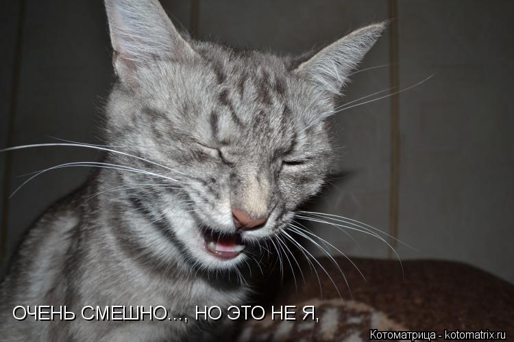 ОЧЕНЬ СМЕШНО..., НО ЭТО НЕ Я,... Котоматрица: ОЧЕНЬ СМЕШНО..., НО ЭТО НЕ Я,