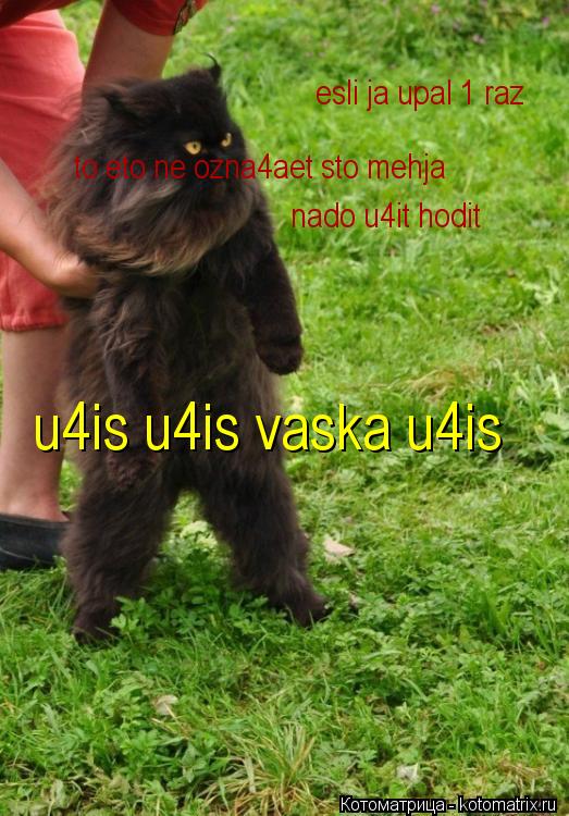 esli ja upal 1 raz to eto ne ozna4aet sto mehja nado u4it hodit u4is u4is vaska u4is... Котоматрица: esli ja upal 1 raz to eto ne ozna4aet sto mehja nado u4it hodit u4is u4is vaska u4is
