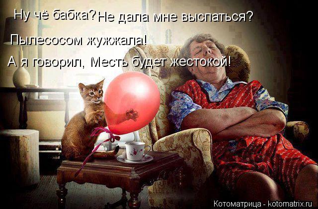Котоматрица: Ну чё бабка?  Не дала мне выспаться? Пылесосом жужжала! А я говорил, Месть будет жестокой!