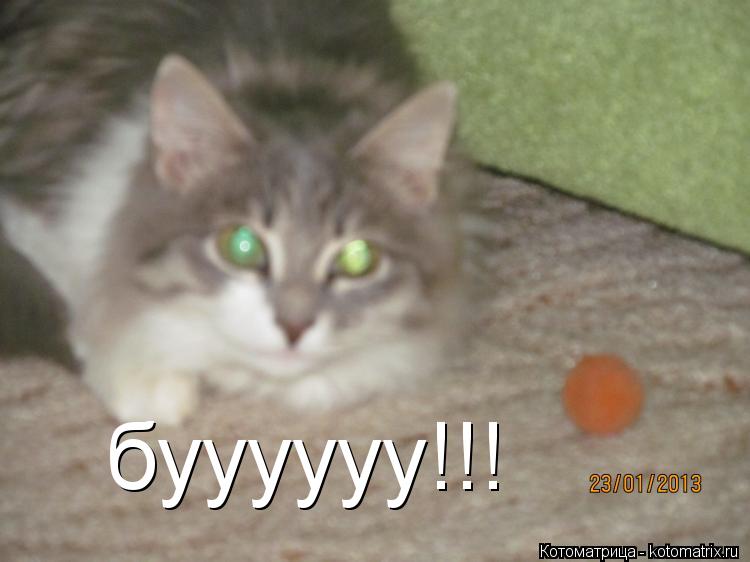 буууууу!!!... Котоматрица: буууууу!!!