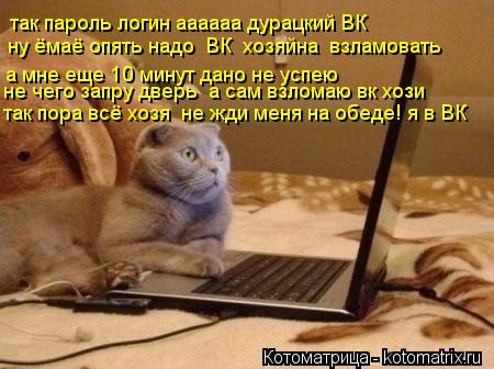 так пароль логин аааааа дурацкий ВК ну ёмаё опять надо ВК хозяйна взламовать а мне еще 10 минут д... Котоматрица: так пароль логин аааааа дурацкий ВК ну ёмаё опять надо ВК хозяйна взламовать а мне еще 10 минут дано не успею не чего запру дверь а сам вз