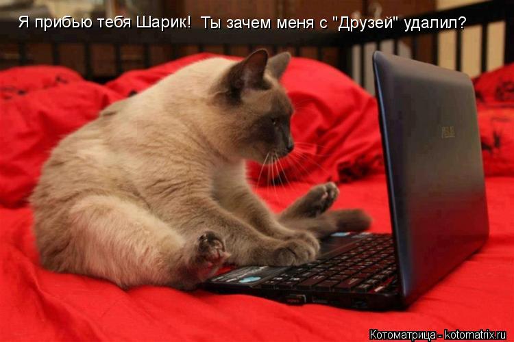 Я прибью тебя Шарик! Ты зачем меня с "Друзей" удалил?... Котоматрица: Я прибью тебя Шарик! Ты зачем меня с "Друзей" удалил?