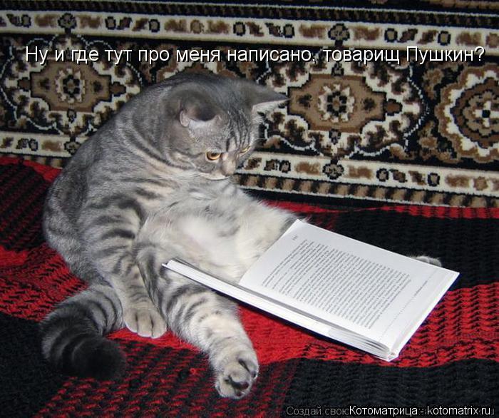 Ну и где тут про меня написано, товарищ Пушкин?... Котоматрица: Ну и где тут про меня написано, товарищ Пушкин?