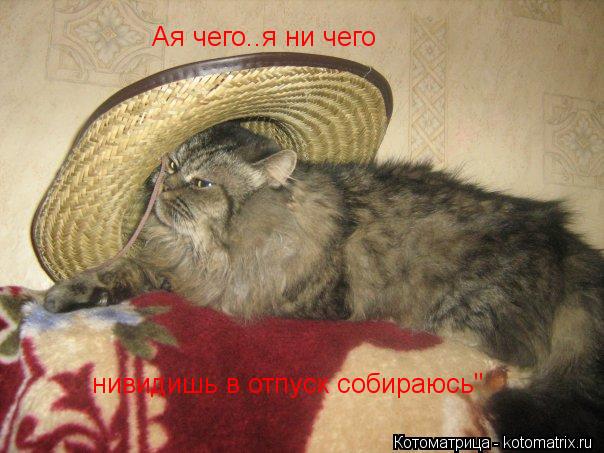 Ая чего..я ни чего нивидишь в отпуск собираюсь"... Котоматрица: Ая чего..я ни чего нивидишь в отпуск собираюсь"
