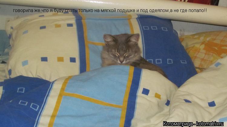 Котоматрица: говорила же,что я буду спать только на мягкой подушке и под одеялом,а не где попало!!