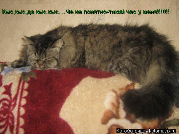 Кыс,кыс,да кыс.кыс....Че не понятно-тихий час у меня!!!!!!!... Котоматрица: Кыс,кыс,да кыс.кыс....Че не понятно-тихий час у меня!!!!!!!
