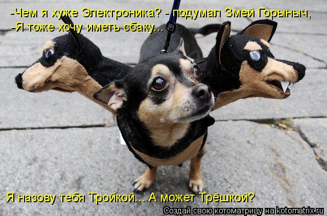 -Чем я хуже Электроника? - подумал Змей Горыныч, -Я тоже хочу иметь сбаку... Я назову тебя Тройкой...... Котоматрица: -Чем я хуже Электроника? - подумал Змей Горыныч, -Я тоже хочу иметь сбаку... Я назову тебя Тройкой... А может Трёшкой?