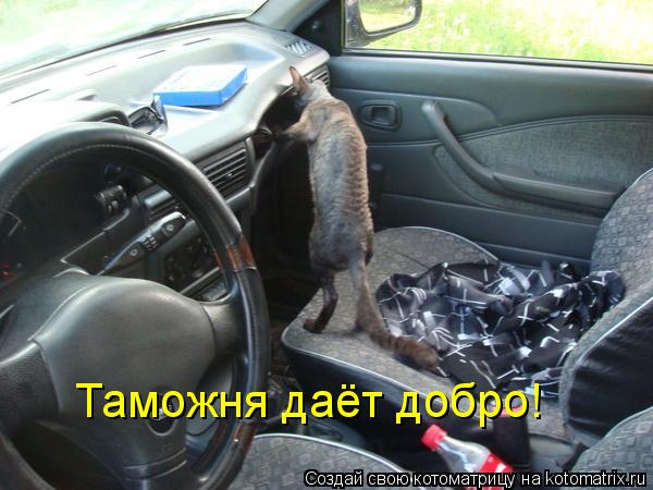 Таможня даёт добро!... Котоматрица: Таможня даёт добро!
