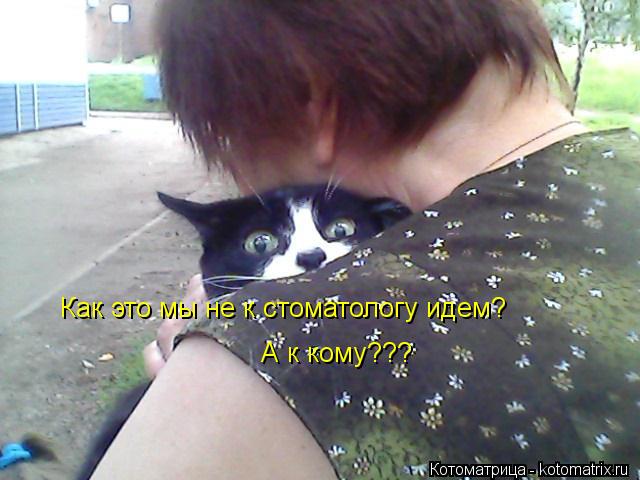 Как это мы не к стоматологу идем? А к кому???... Котоматрица: Как это мы не к стоматологу идем? А к кому???