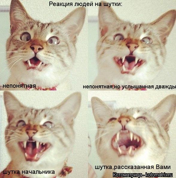 Реакция людей на шутки: непонятная непонятная,но услышанная дважды шутка начальника шутка,рассказанна... Котоматрица: Реакция людей на шутки: непонятная непонятная,но услышанная дважды шутка начальника шутка,рассказанная Вами