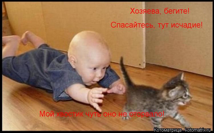 Котоматрица: Хозяева, бегите! Спасайтесь, тут исчадие!  Мой хвостик чуть оно не оторвало!
