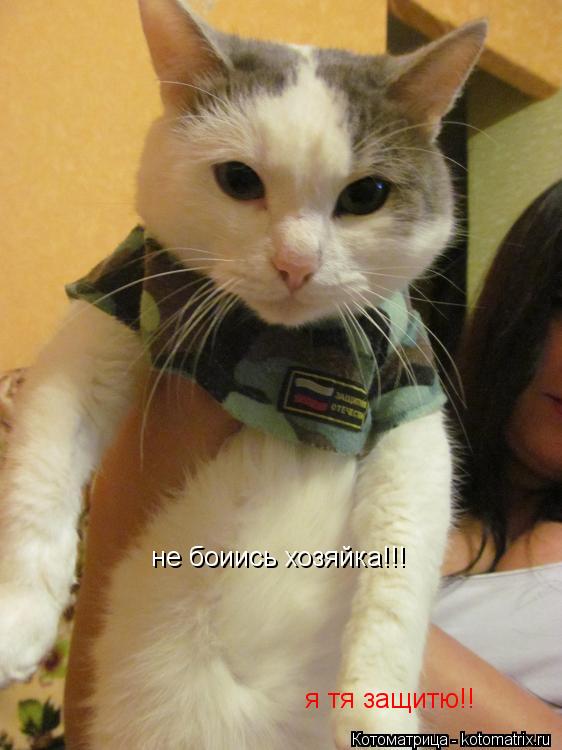 не боиись хозяйка!!! я тя защитю!!... Котоматрица: не боиись хозяйка!!! я тя защитю!!