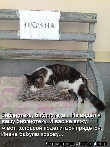 Библиотека, библиотека... Не видел я вашу библиотеку. И вас не вижу. А вот колбасой поделиться придёт... Котоматрица: Библиотека, библиотека... Не видел я вашу библиотеку. И вас не вижу. А вот колбасой поделиться придётся. Иначе бабулю позову...