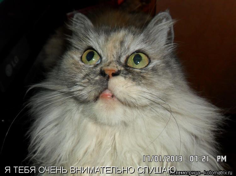 Я ТЕБЯ ОЧЕНЬ ВНИМАТЕЛЬНО СЛУШАЮ,,,,... Котоматрица: Я ТЕБЯ ОЧЕНЬ ВНИМАТЕЛЬНО СЛУШАЮ,,,,