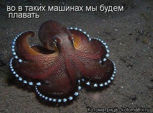 во в таких машинах мы будем плавать... Котоматрица: во в таких машинах мы будем плавать