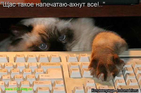 Котоматрица: "Щас такое напечатаю-ахнут все!.."