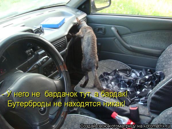 - У него не бардачок тут, а бардак! Бутерброды не находятся никак!... Котоматрица: - У него не бардачок тут, а бардак! Бутерброды не находятся никак!