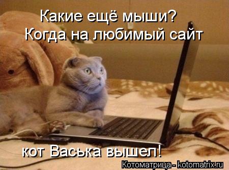 Какие ещё мыши? кот Васька вышел! Когда на любимый сайт... Котоматрица: Какие ещё мыши? кот Васька вышел! Когда на любимый сайт