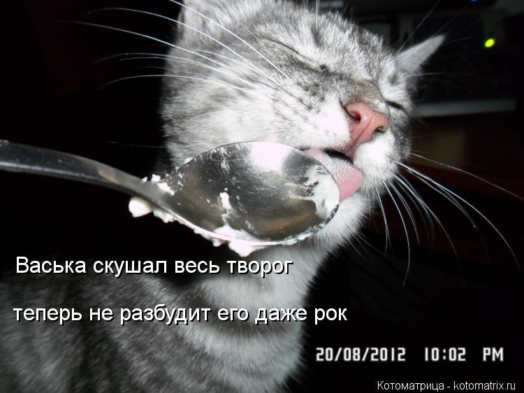 Васька скушал весь творог теперь не разбудит его даже рок... Котоматрица: Васька скушал весь творог теперь не разбудит его даже рок