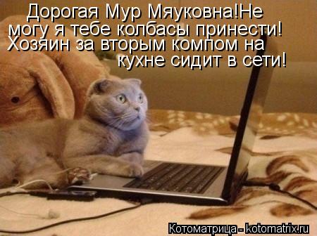 Дорогая Мур Мяуковна!Не могу я тебе колбасы принести! Хозяин за вторым компом на кухне сидит в сети... Котоматрица: Дорогая Мур Мяуковна!Не могу я тебе колбасы принести! Хозяин за вторым компом на кухне сидит в сети!