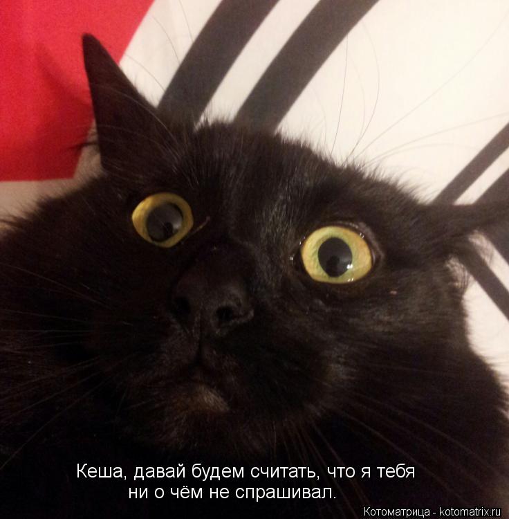 Кеша, давай будем считать, что я тебя ни о чём не спрашивал.... Котоматрица: Кеша, давай будем считать, что я тебя ни о чём не спрашивал.