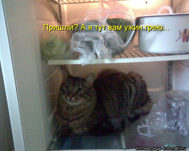 Котоматрица: Пришли? А я тут вам ужин грею...