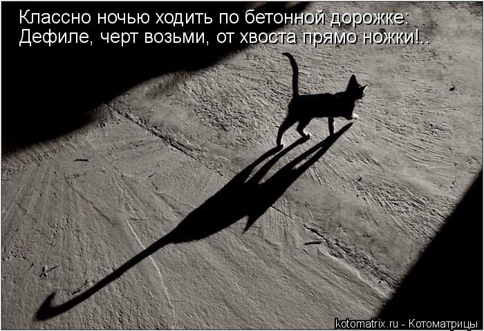 Классно ночью ходить по бетонной дорожке: Дефиле, черт возьми, от хвоста прямо ножки!..... Котоматрица: Классно ночью ходить по бетонной дорожке: Дефиле, черт возьми, от хвоста прямо ножки!..