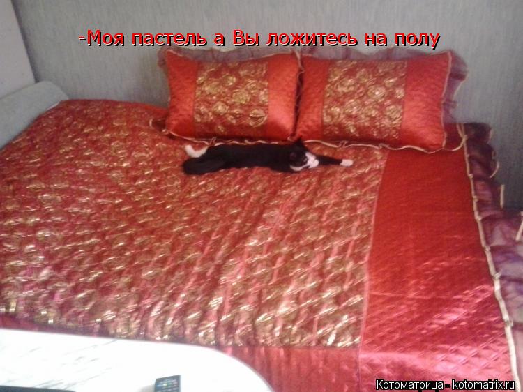 Котоматрица: -Моя пастель а Вы ложитесь на полу -Моя пастель а Вы ложитесь на полу