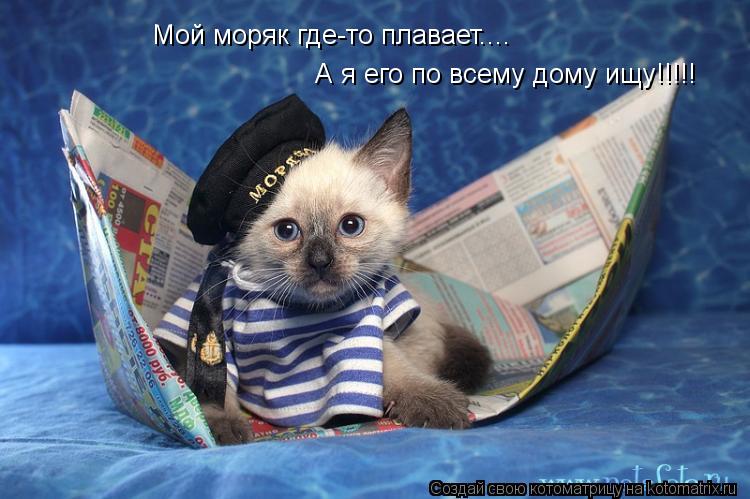 Котоматрица: Мой моряк где-то плавает.... А я его по всему дому ищу!!!!!