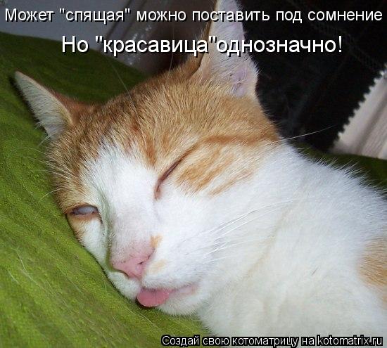 Может "спящая" можно поставить под сомнение Но "красавица"однозначно!... Котоматрица: Может "спящая" можно поставить под сомнение Но "красавица"однозначно!