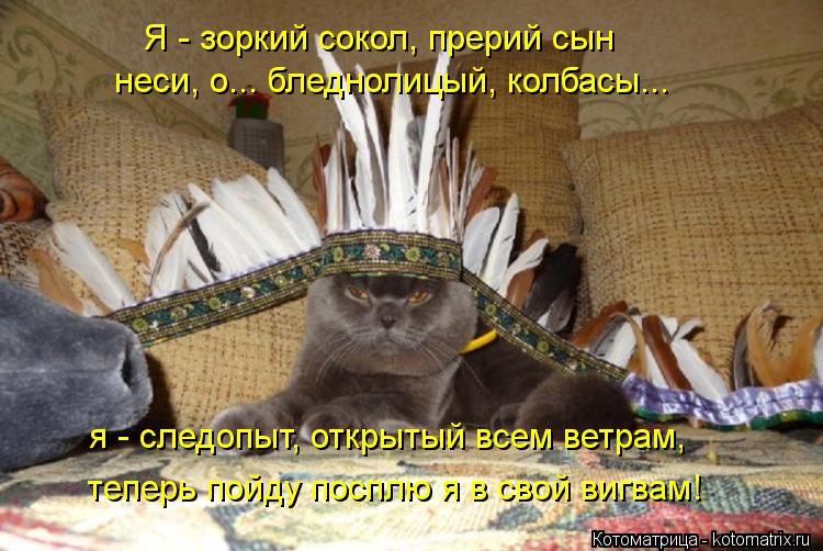 Котоматрица: Я - зоркий сокол, прерий сын неси, о... бледнолицый, колбасы... я - следопыт, открытый всем ветрам, теперь пойду посплю я в свой вигвам!