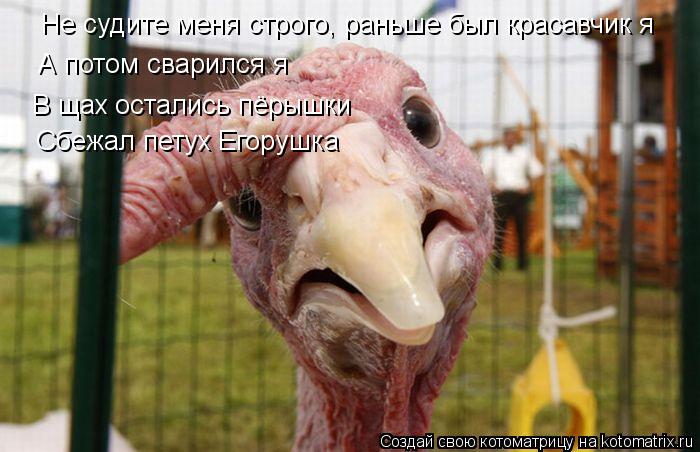 А потом сварился я В щах остались пёрышки Сбежал петух Егорушка Не судите меня строго, раньше был кра... Котоматрица: А потом сварился я В щах остались пёрышки Сбежал петух Егорушка Не судите меня строго, раньше был красавчик я